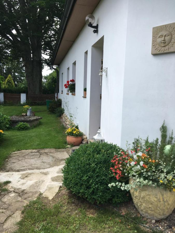 Apartman U Pamatneho Stromu Apartment Česká Lípa Екстериор снимка