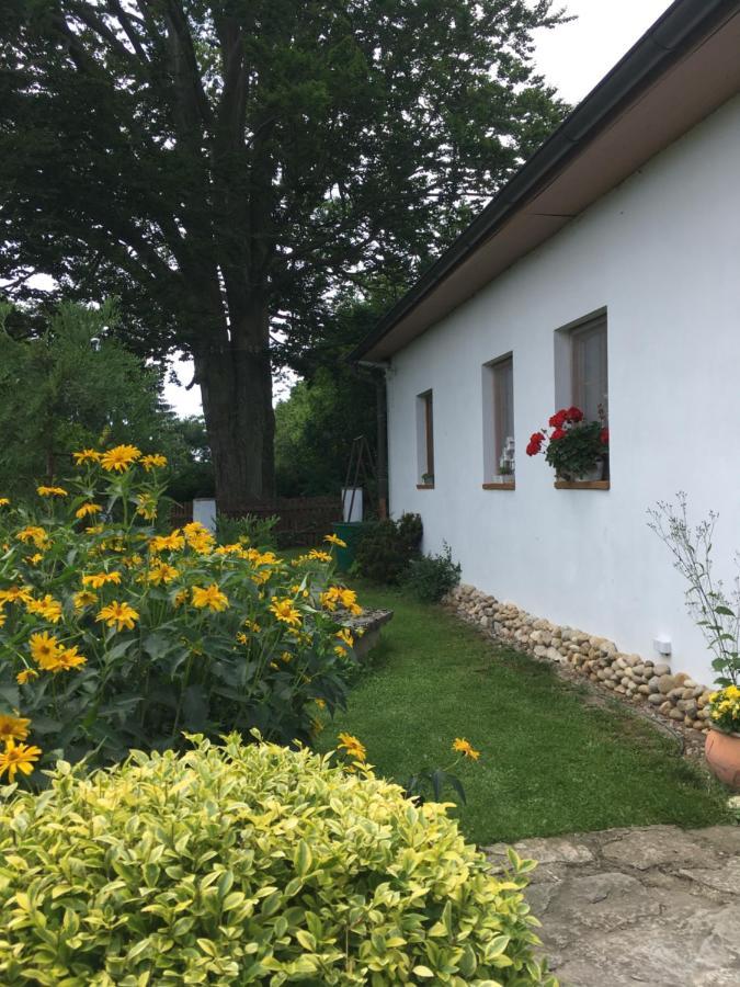 Apartman U Pamatneho Stromu Apartment Česká Lípa Екстериор снимка