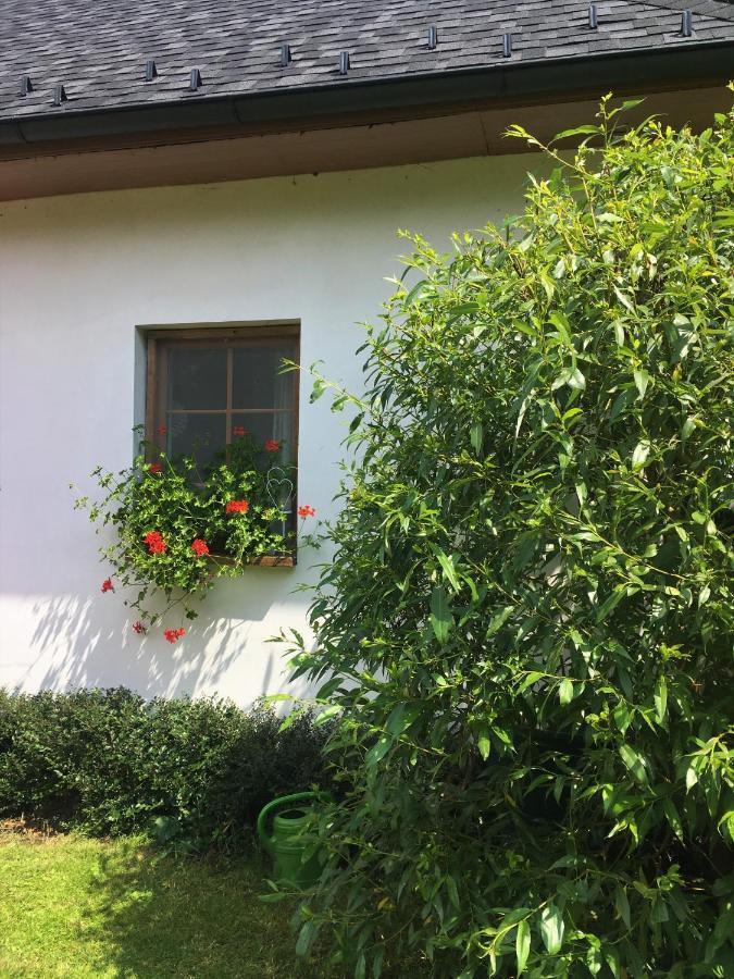 Apartman U Pamatneho Stromu Apartment Česká Lípa Екстериор снимка