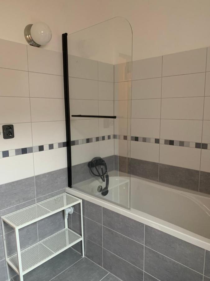 Apartman U Pamatneho Stromu Apartment Česká Lípa Екстериор снимка