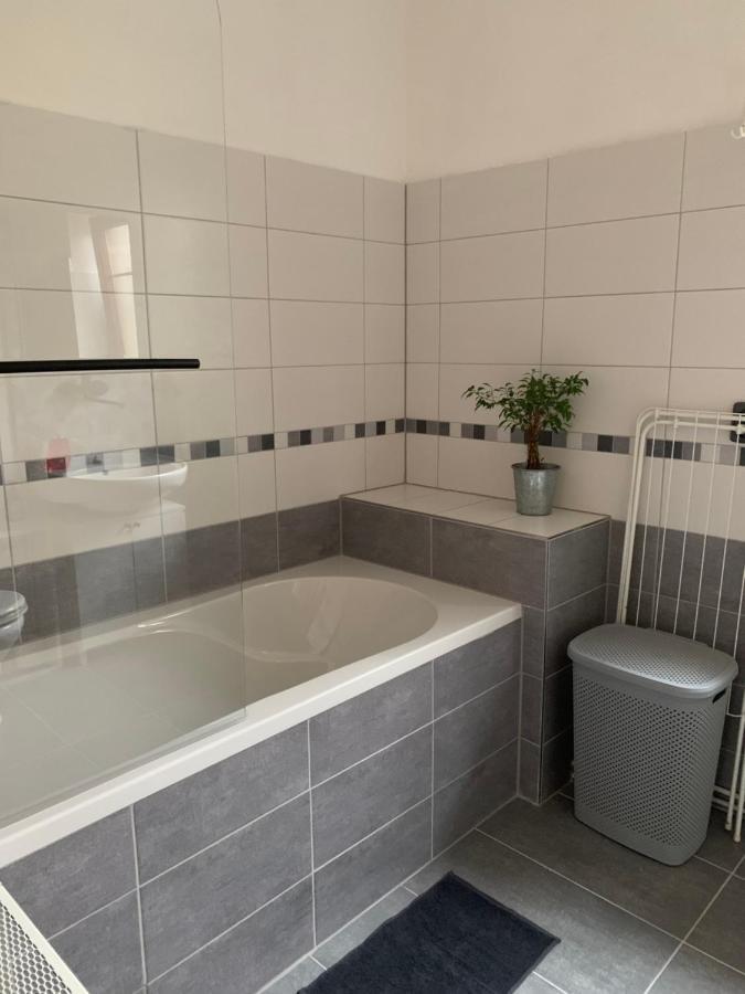 Apartman U Pamatneho Stromu Apartment Česká Lípa Екстериор снимка
